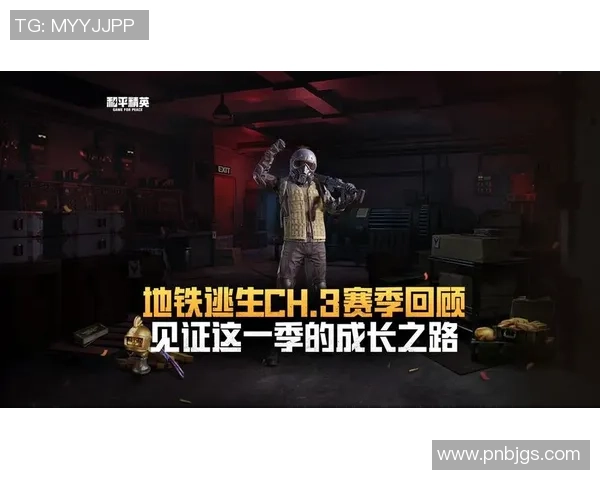 杨丽专访:从新手到高手的和平精英成长之路回顾与展望